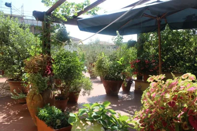 La Terrazza da Ernestina – Foto’s 9